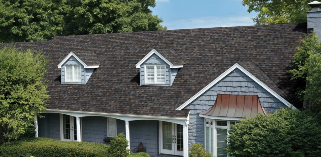 Softwash Roof Cleaning in Mount Vernon